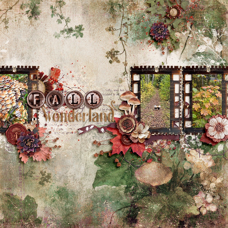 Fall Wonderland