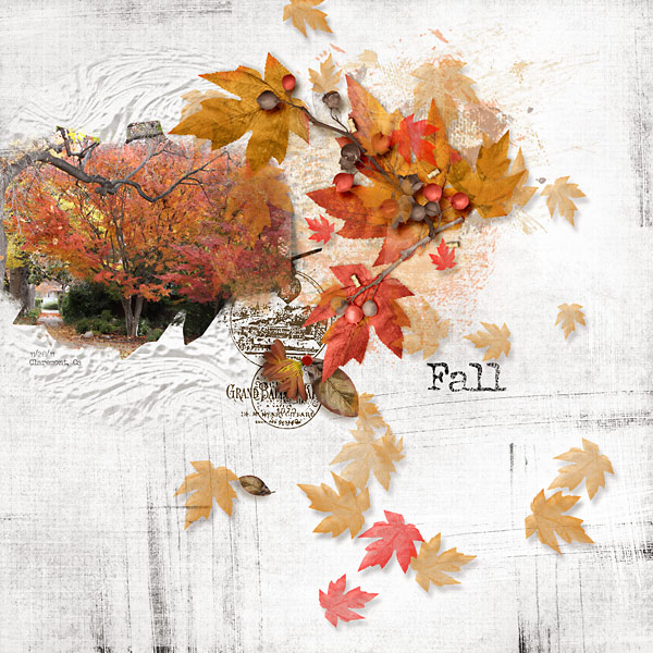 Fall