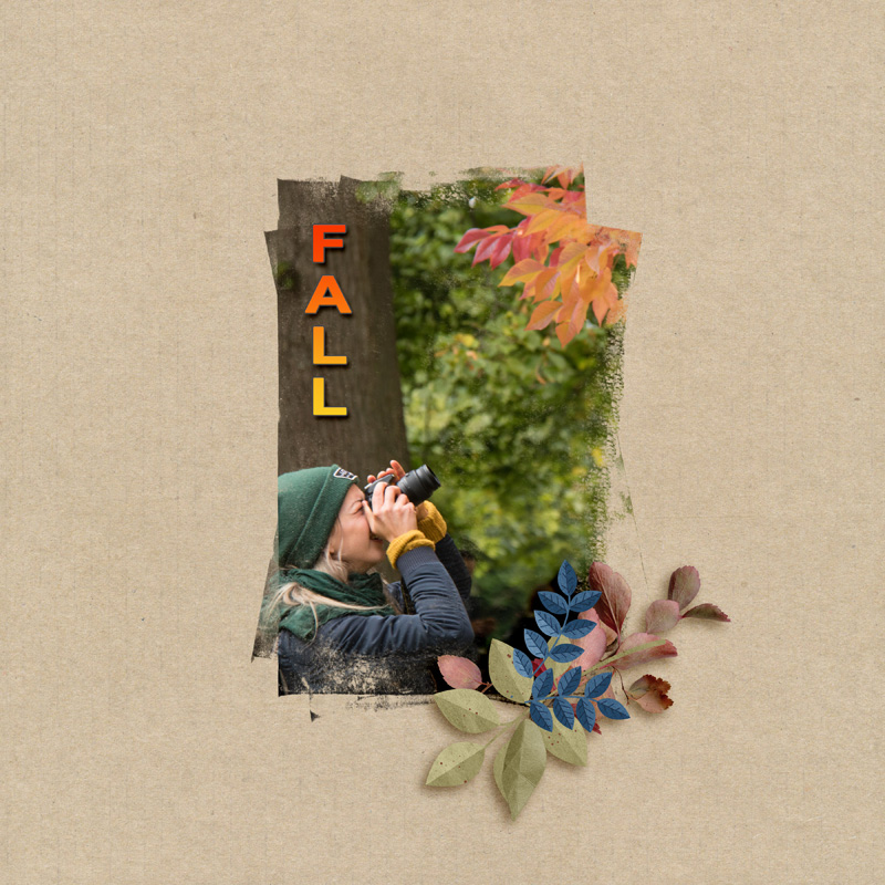 Fall