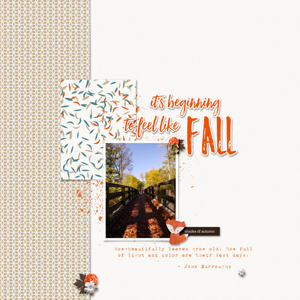 Falling into Fall