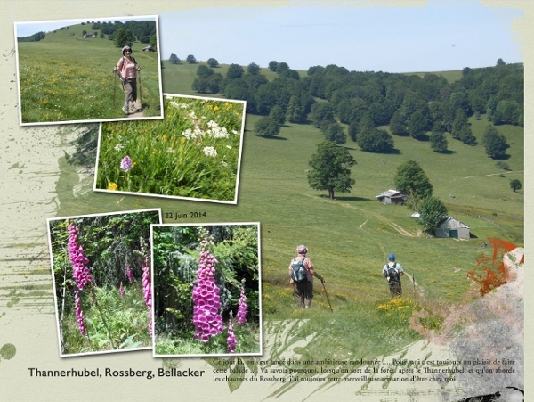 Family Day Out to Enjoy - Hiking in the Vosges