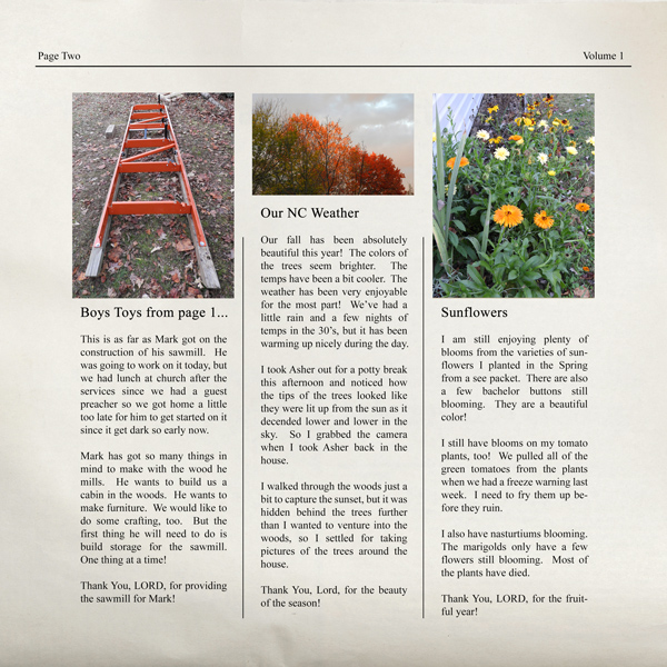 Family-News-Vol-1-Pg-2