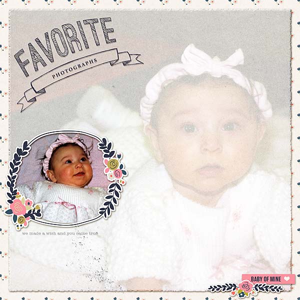 Favorite Photographs