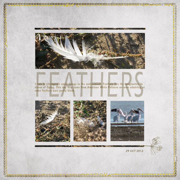 Feathers