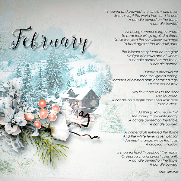 February in focus