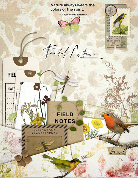 Field Notes Journal