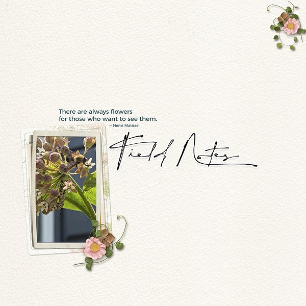 Field Notes