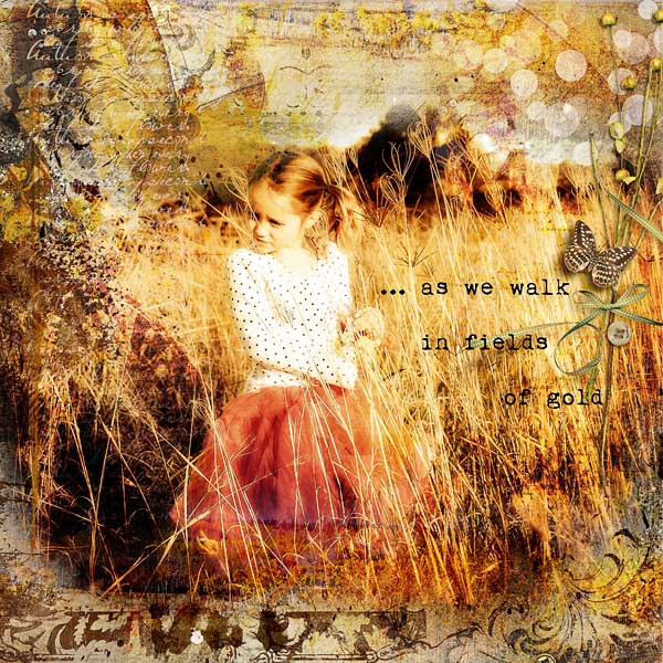 FIELDS OF GOLD