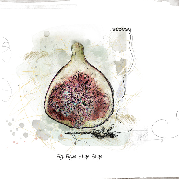 Fig