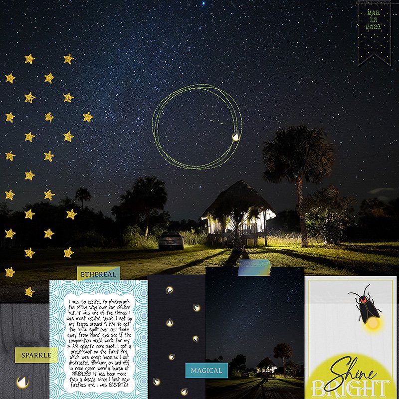 fireflies in Big Cypress