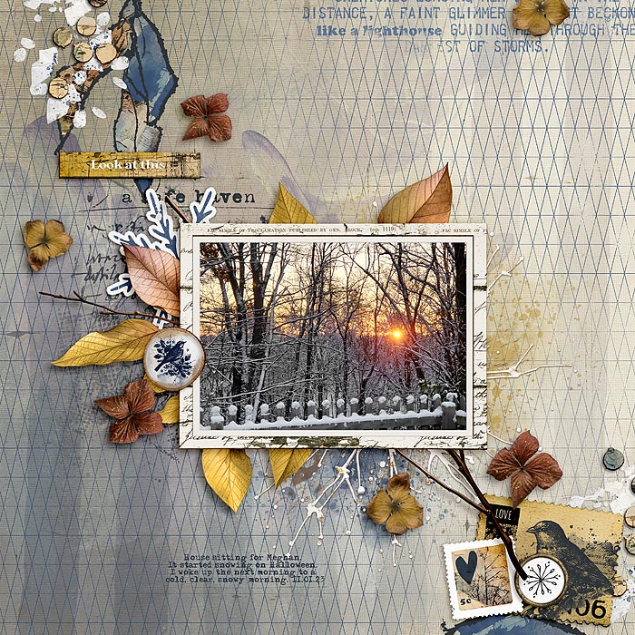 First Snow - Nov 2023 Color Challenge