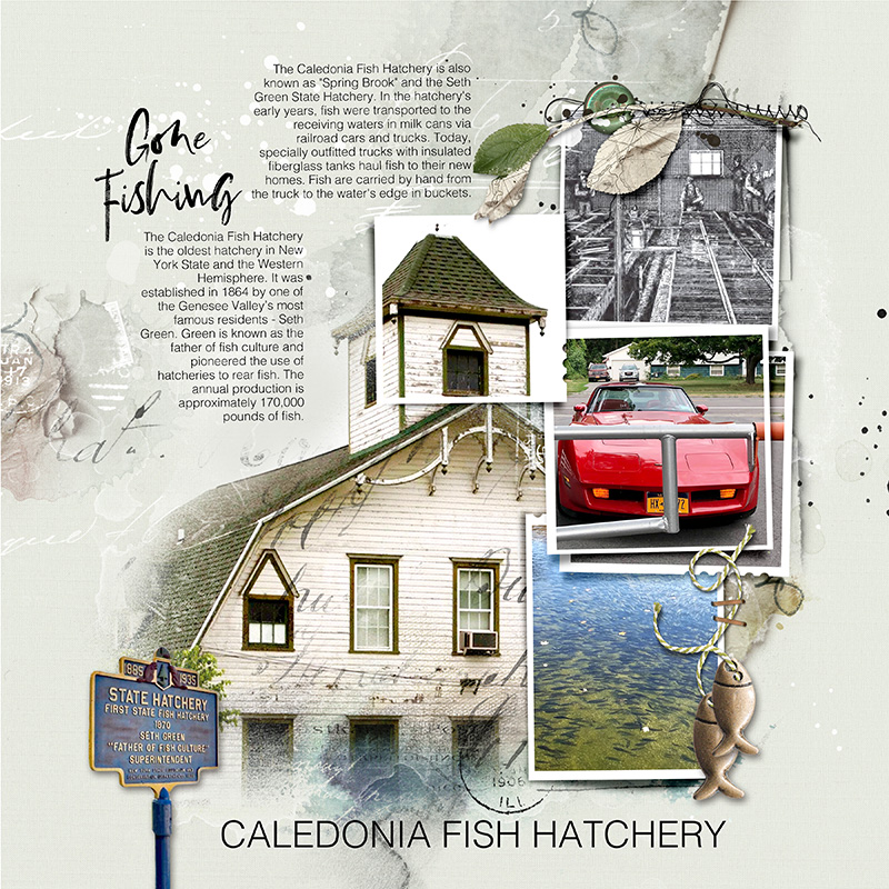 Fish Hatchery