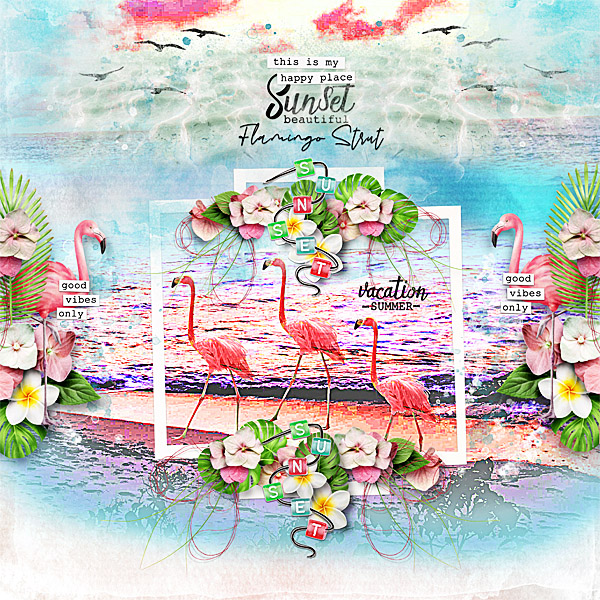 Flamingo Summer