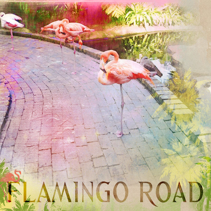 FlamingoRoad/AnnaLift