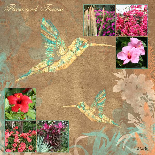 Flora and Fauna