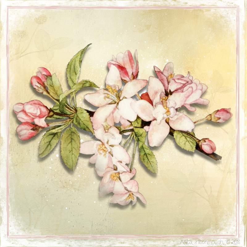 Floral Winds