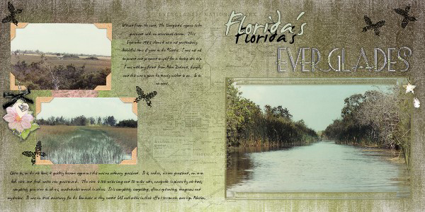 Florida's Everglades