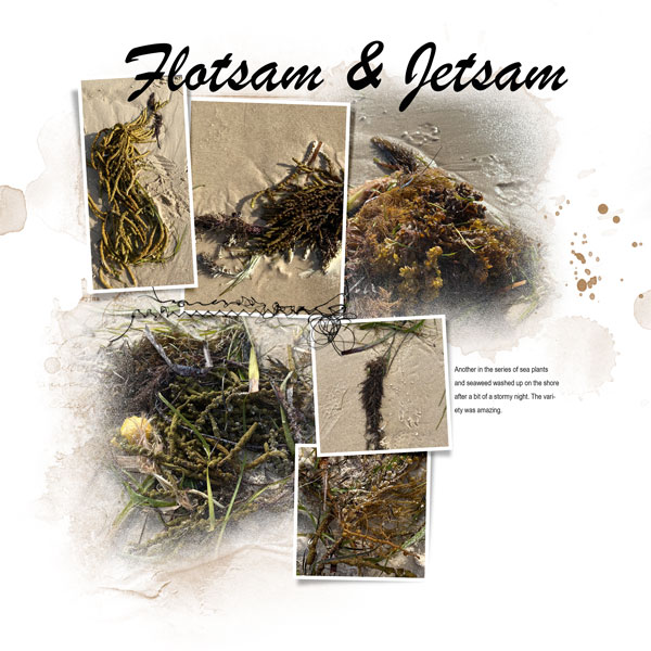 Flotsam and Jetsam