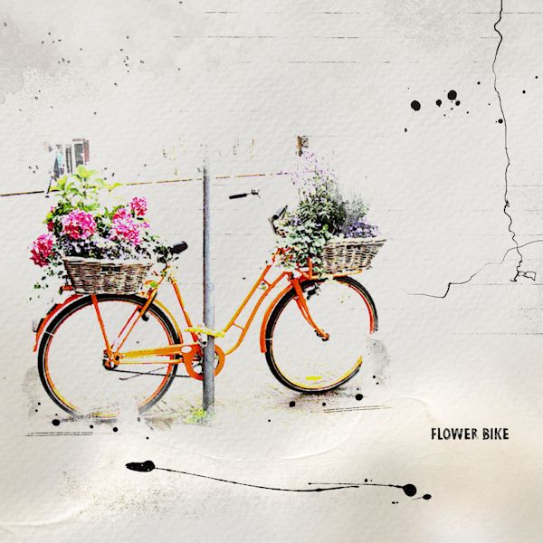 Flower Bike...