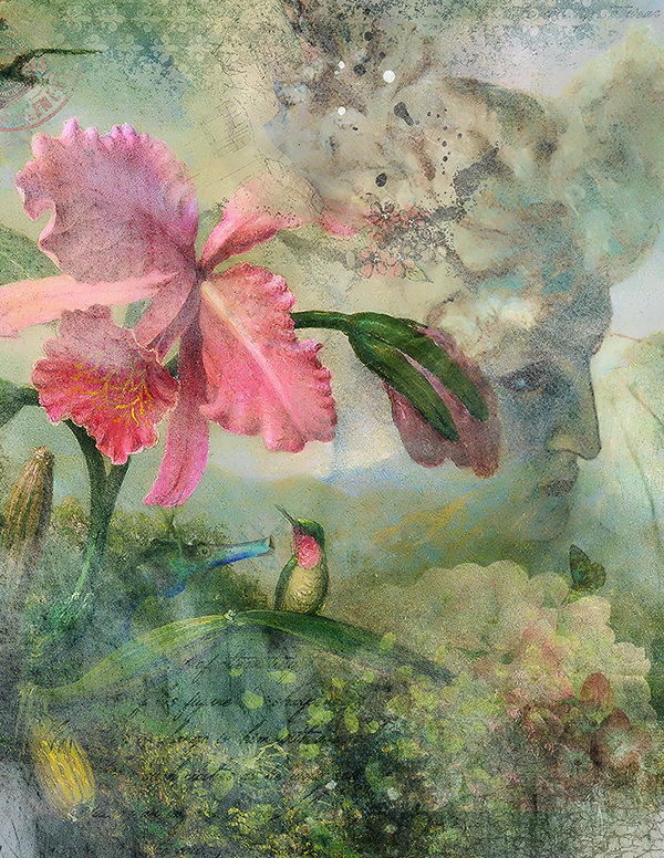 FLOWER FOR GISELLE