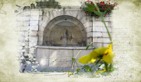 Flowers and fountain