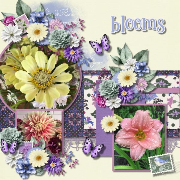 Flowers Galore
