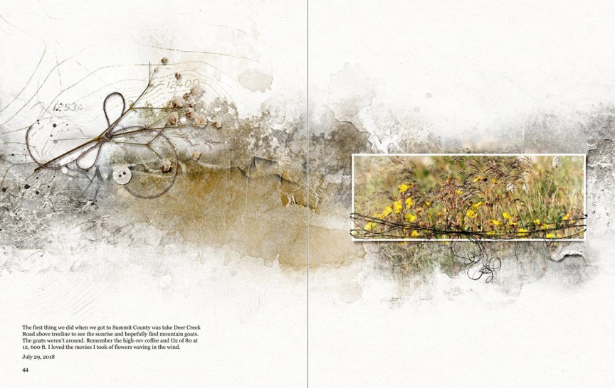 Flowers in the Wind