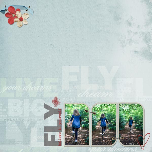 Fly