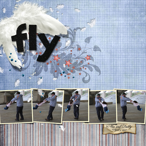 Fly