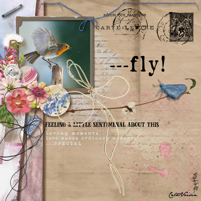 Fly !