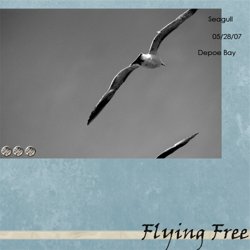 Flying Free