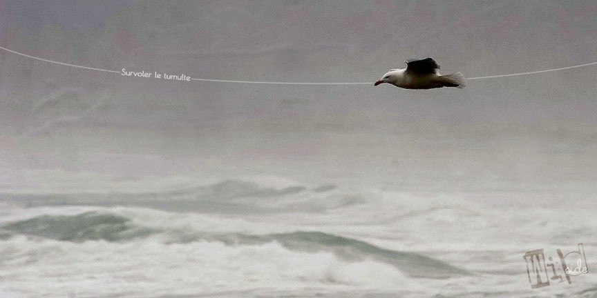 Flying over the storm