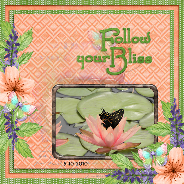 Follow Your Bliss