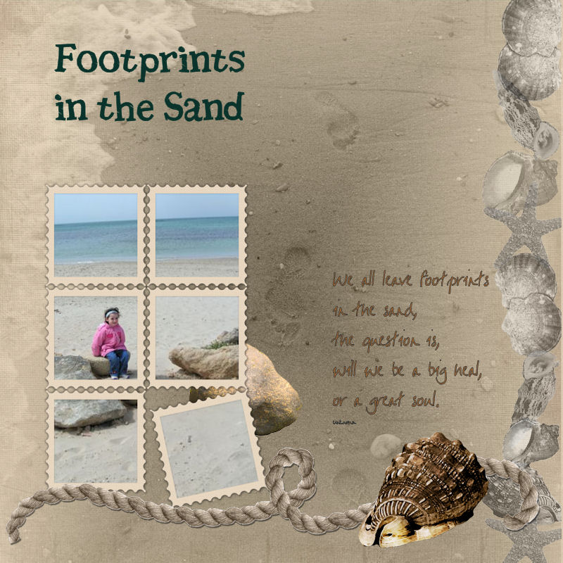 Footprints in the Sand