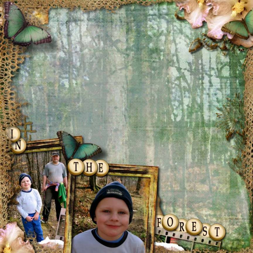 forest