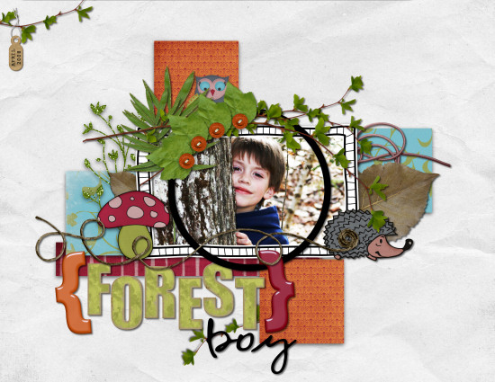 ForestBoy_rectangle_copy