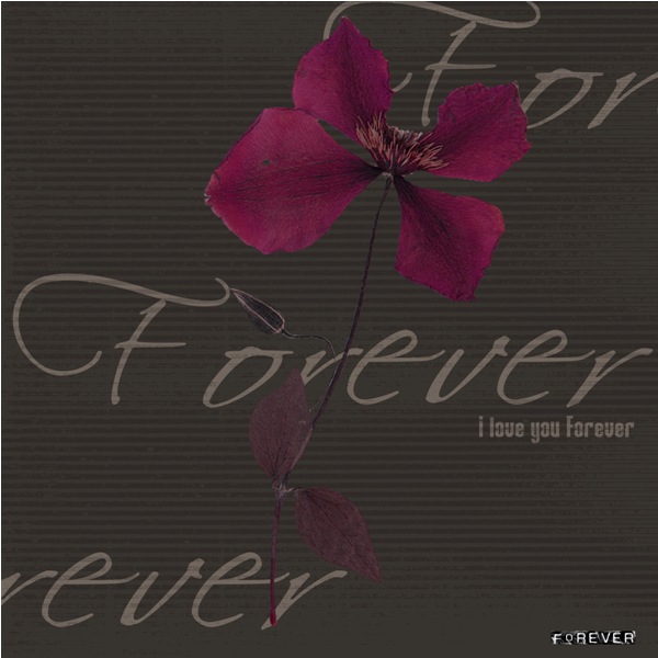 Forever_2