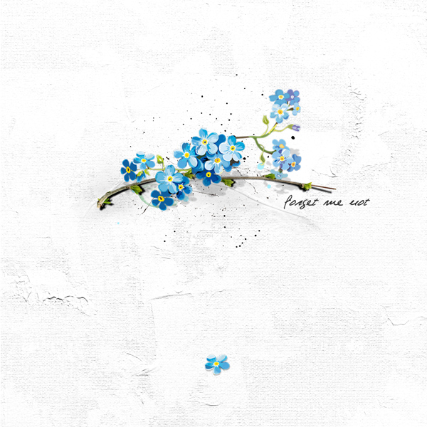 Forget Me Not...