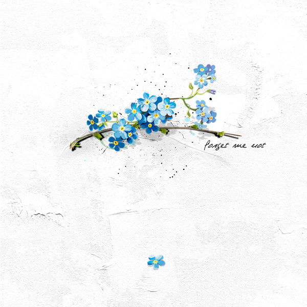 Forget Me Not...