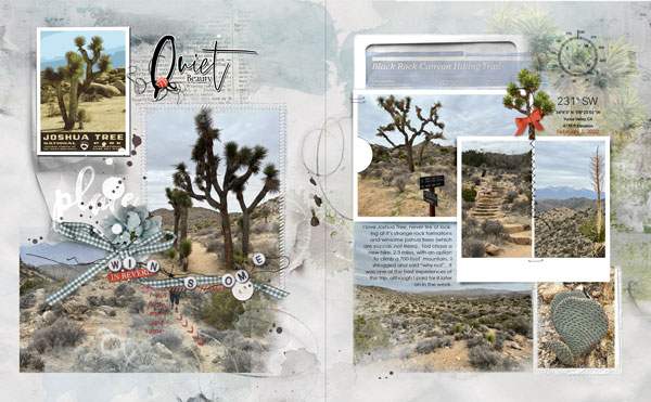 FotoInspired Templates 2V Joshua Tree National Park