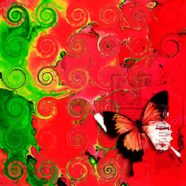 Fractal and Butterfly...