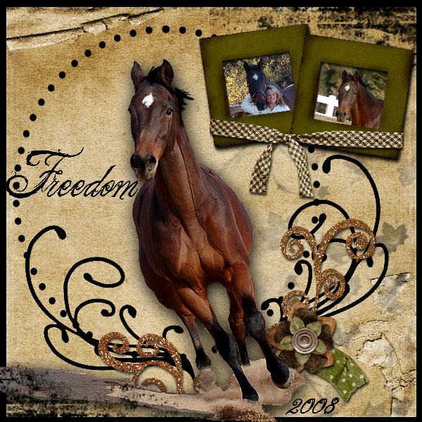 Freedom