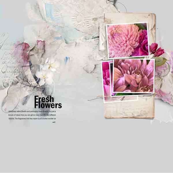 Fresh Flowers