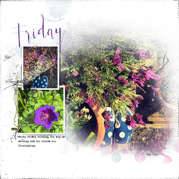Friday - In the Garden