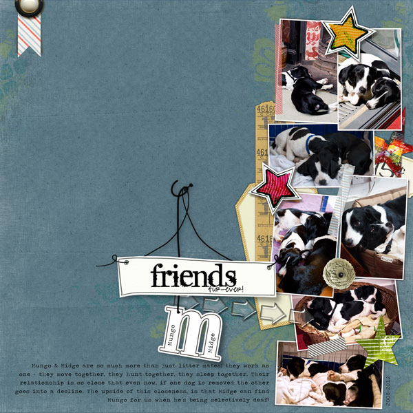 Friends Fur-Ever