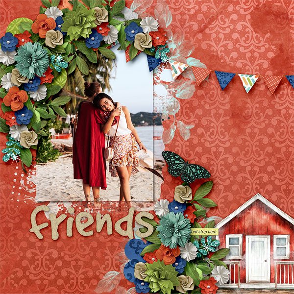 Friends