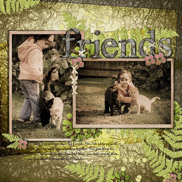 friends