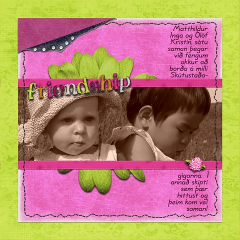 Friendship
