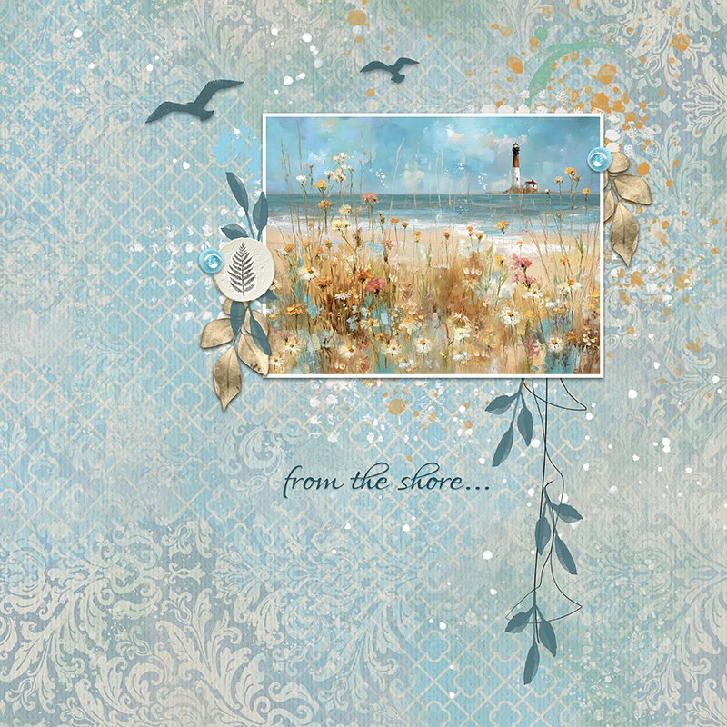 From The Shore
