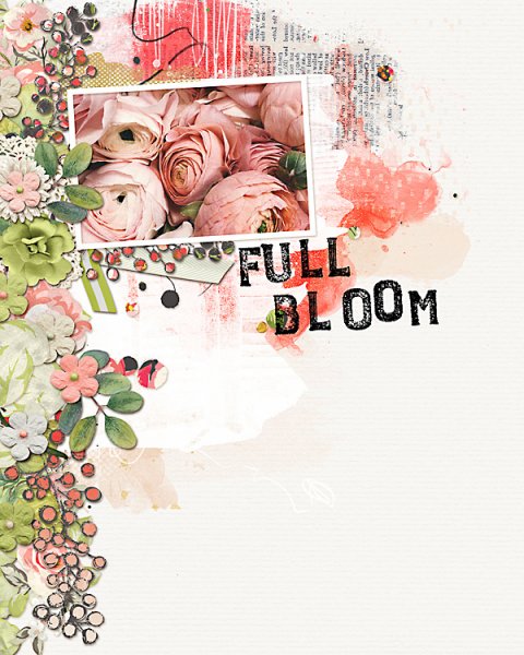 full bloom